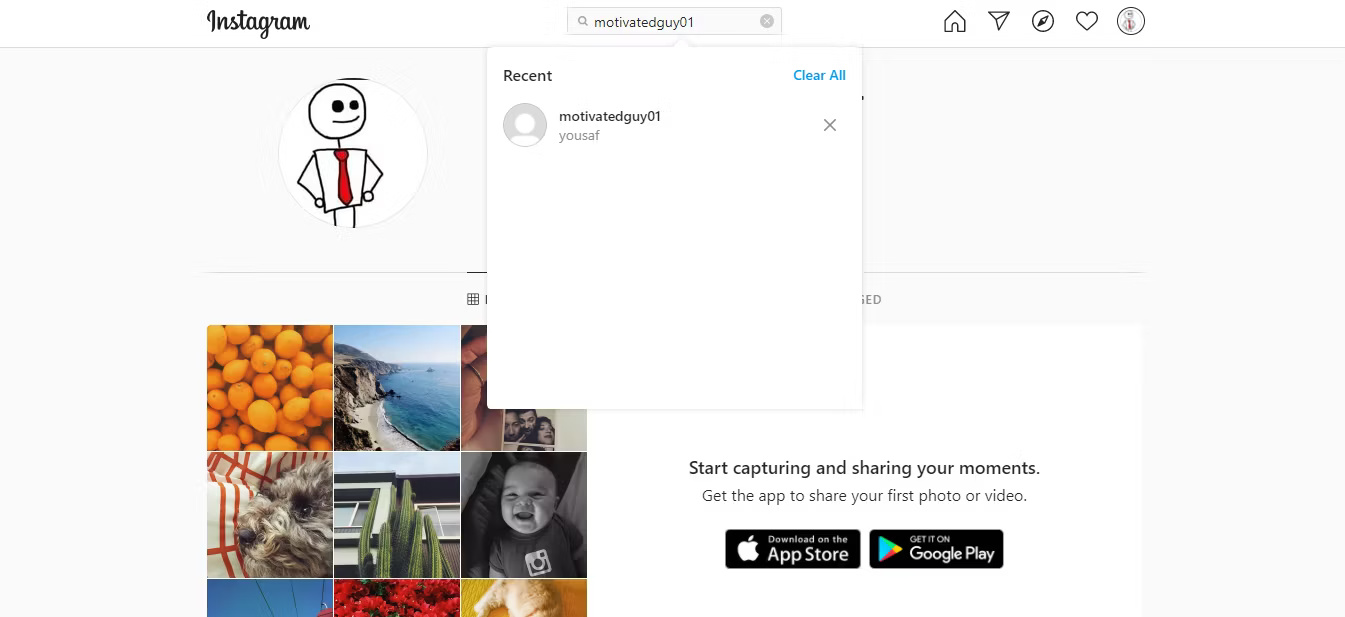 Tài khoản không hiển thị trong tìm kiếm trên Instagram