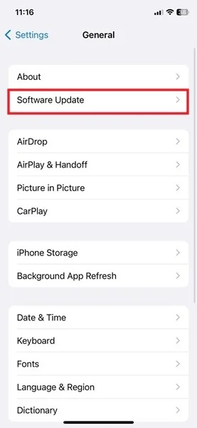 Nhấn vào Software update trong cài đặt iOS