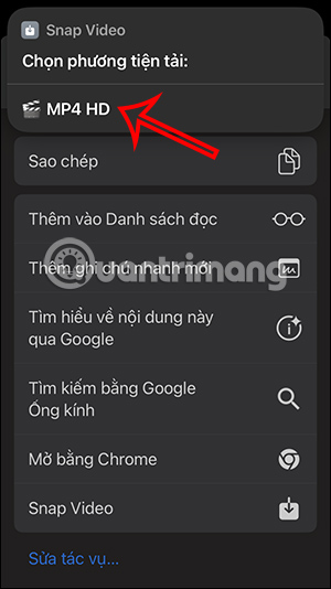 Chọn định dạng tải video