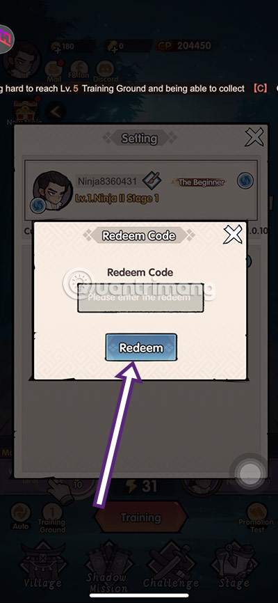 Enter ninja money code