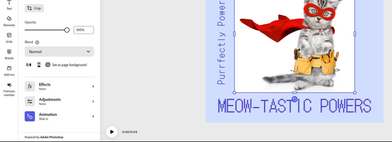 Định vị tính năng Animation trong Adobe Express