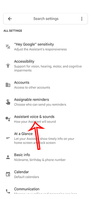 Đổi giọng nói Google Assistant trên loa thông minh