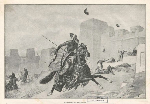 Triệu hồi thần mèo đánh giặc​