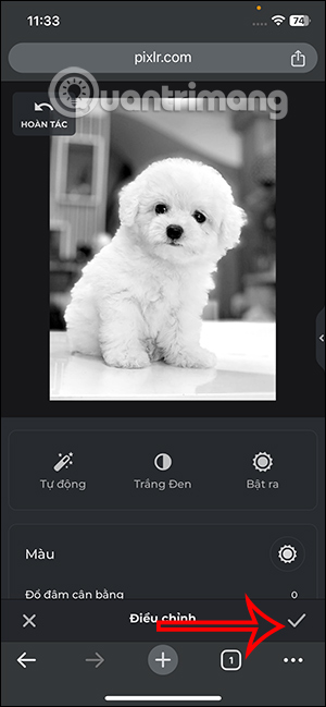 Ảnh đen trắng