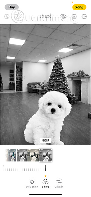 Bộ lọc ảnh đen trắng