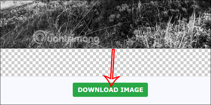 Tải ảnh đen trắng trên Imageonline