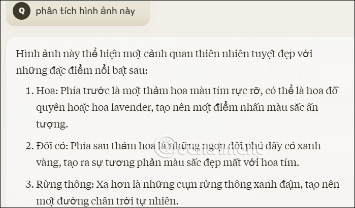 Phân tích hình ảnh trên Claude AI