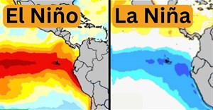 Phân biệt El Nino và La Nina