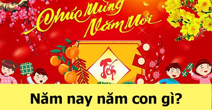 Năm nay năm con gì? 2025 là năm con gì? Tết gì?