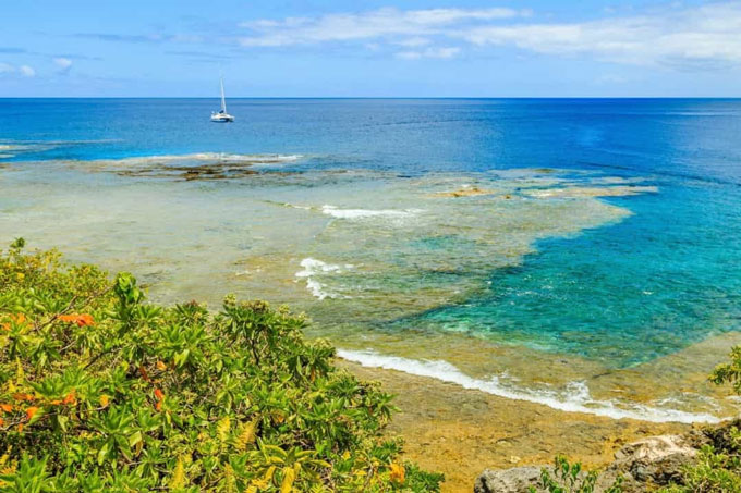 Ở Niue, đảo quốc phía nam Thái Bình Dương và là một phần của Polynesia, và cư dân đảo chủ yếu là người Polynesia. Tại đây, biểu tượng trên các đồng xu của họ không phải là các tổng thống, nữ hoàng hay các chính trị gia quan trọng mà là những gương mặt nổi tiếng của Disney, Pokemon hoặc các nhân vật trong bộ "Chiến tranh giữa các vì sao".