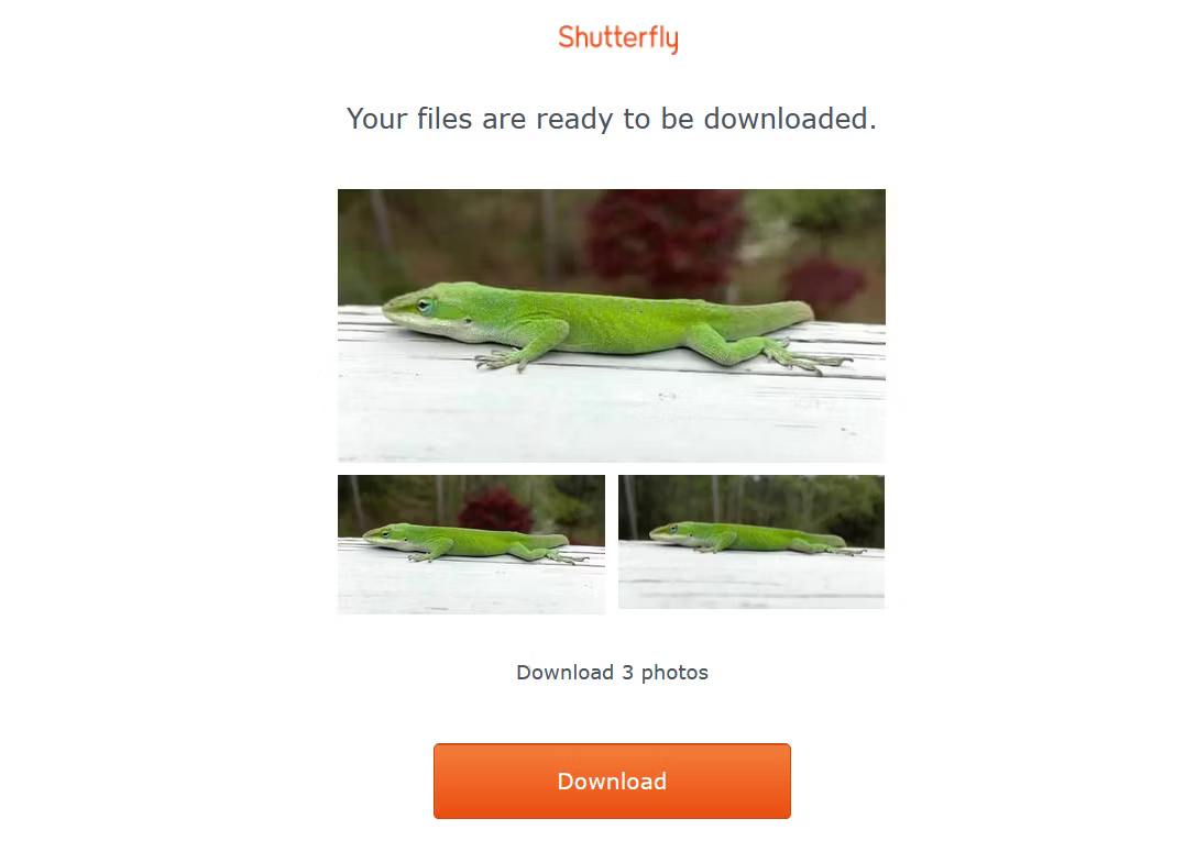 Email Shutterfly nhắc rằng tất cả hình ảnh đã sẵn sàng để tải xuống