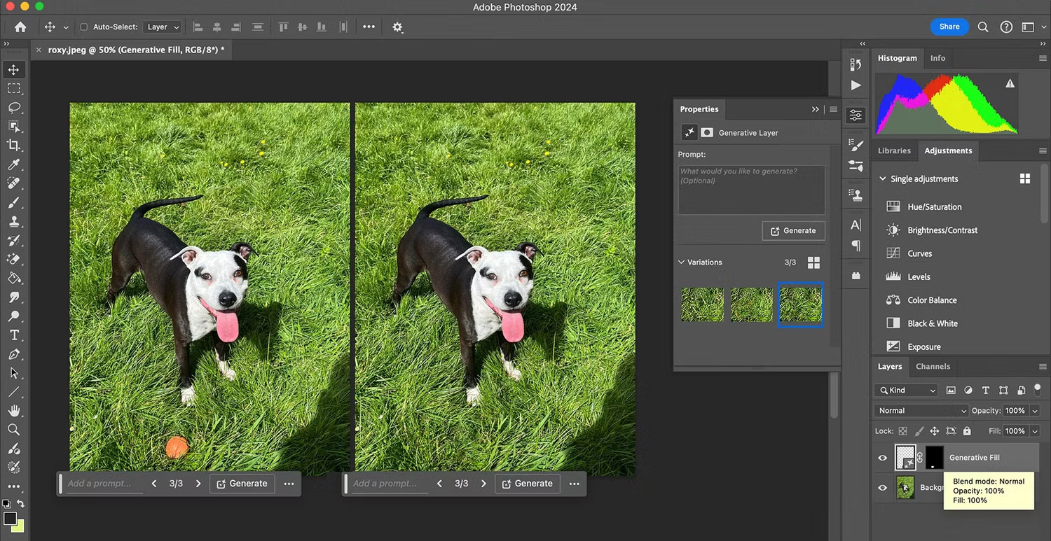 Công cụ Generative Fill AI của Adobe Photoshop