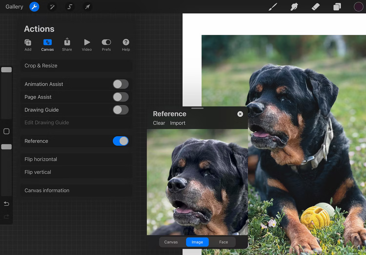Hình ảnh tham chiếu tranh kỹ thuật số Procreate