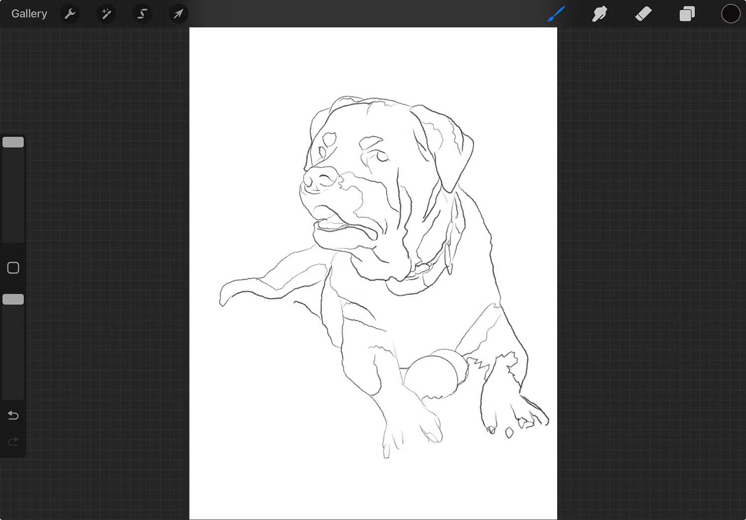 Procreate Sketch
