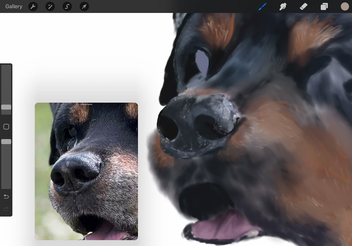 Chi tiết tinh tế trong Procreate