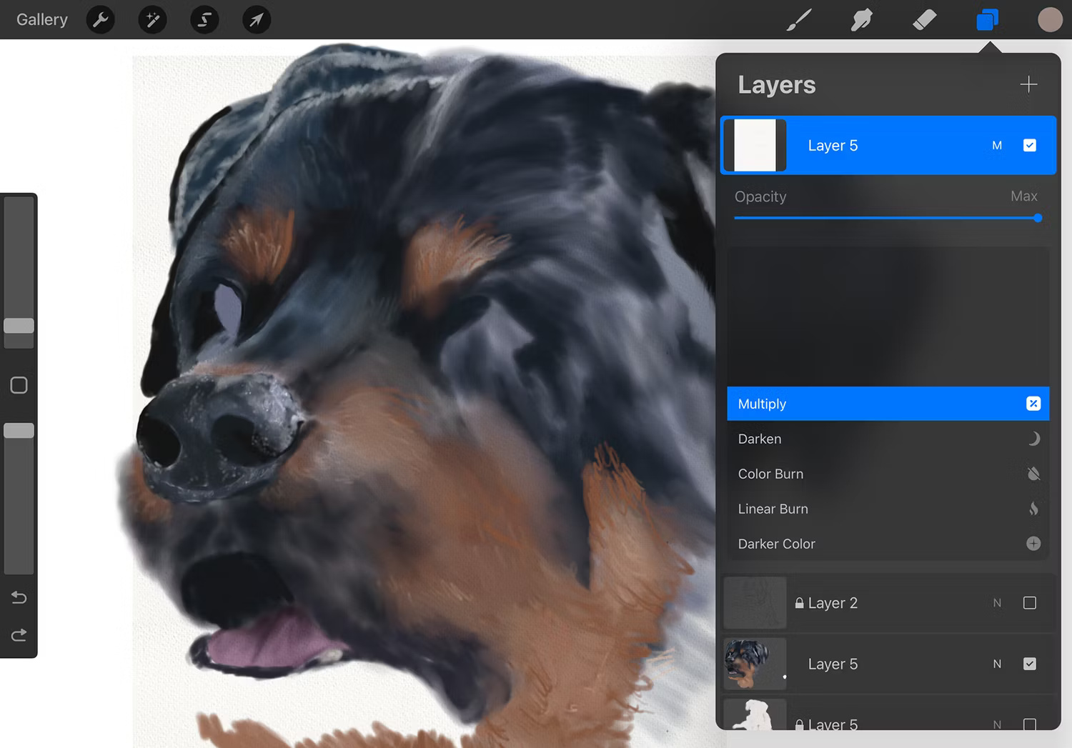 Kết cấu giấy trong Procreate