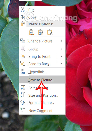 Lưu hình ảnh từ Powerpoint