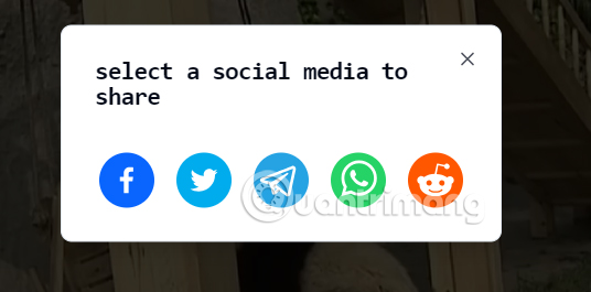 Viralizou gửi video