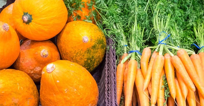 Mùa thu có quả gì