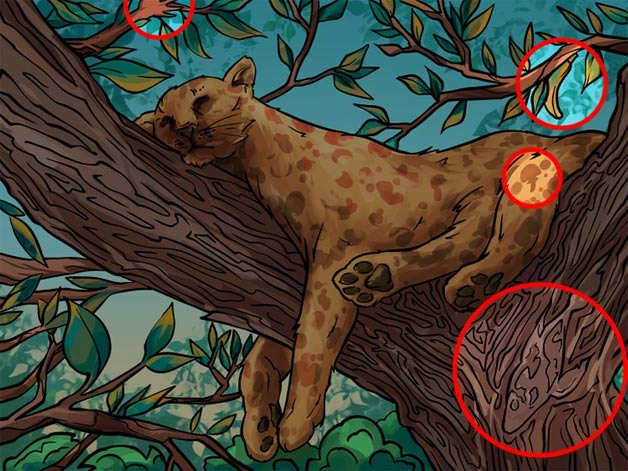 Tìm các chi tiết trong hình