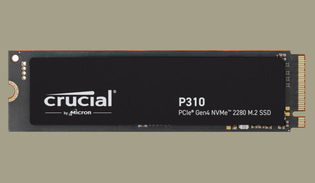 Crucial P310 2280