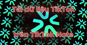 Cách tải về dữ liệu TikTok trên TikTok Note