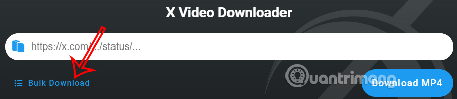 X Video Downloader tải nhiều video