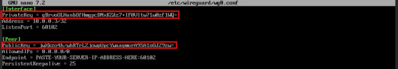 Private key của client thứ hai và public key của máy chủ Wireguard.