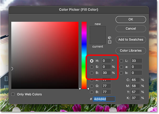 Đặt H và S thành 0, B thành 30% trong Color Picker