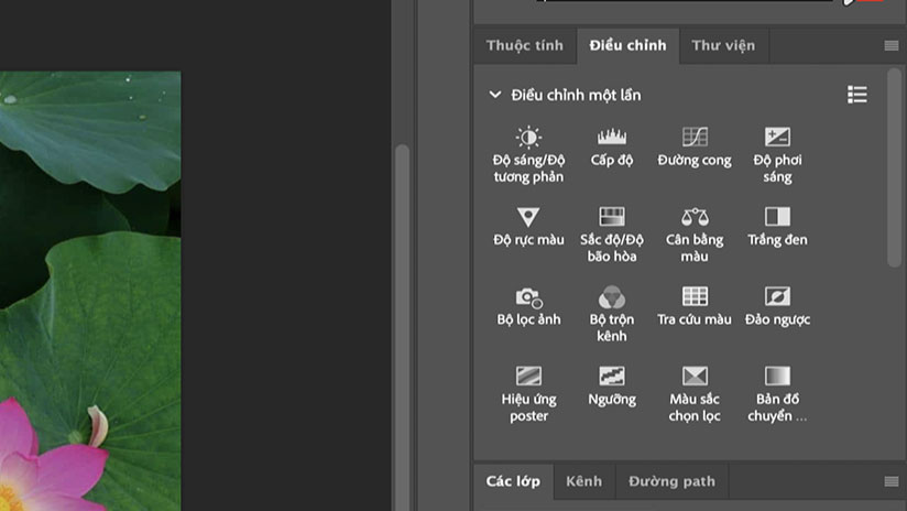 Adobe chính thức công bố hỗ trợ tiếng Việt cho Photoshop
