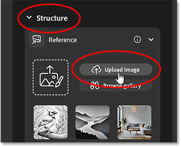 Nhấp vào Upload image trong phần Structure