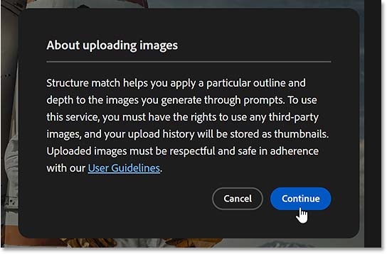 Nhấp vào Continue để upload hình ảnh lên.