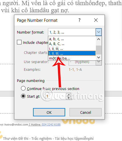 Choose the number of Word Roman pages