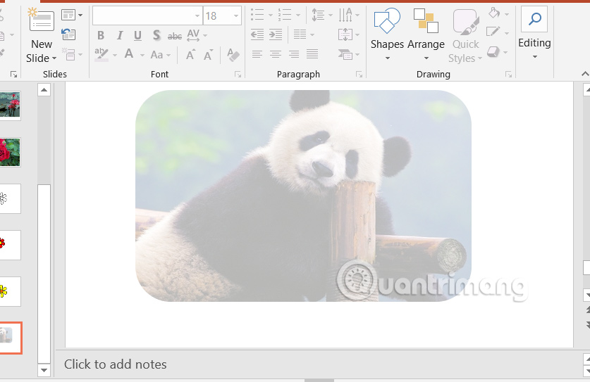 Ảnh trong suốt trong PowerPoint