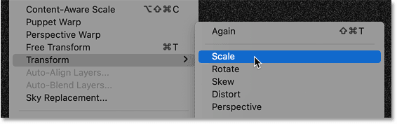 Chọn lệnh Scale trong Photoshop.