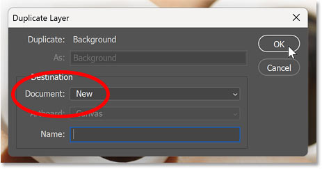 Đưa layer sao chép sang một tài liệu Photoshop mới.