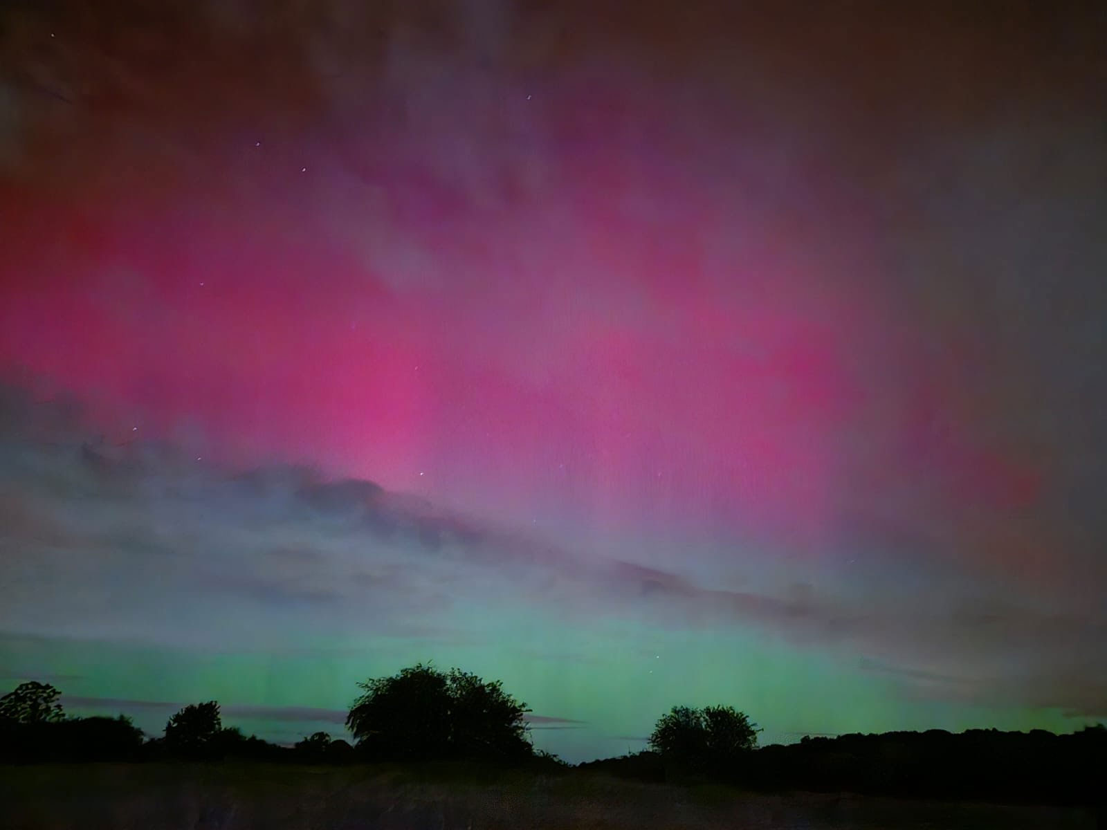 cuc quang tuyet dep tren khap the gioi4*350805