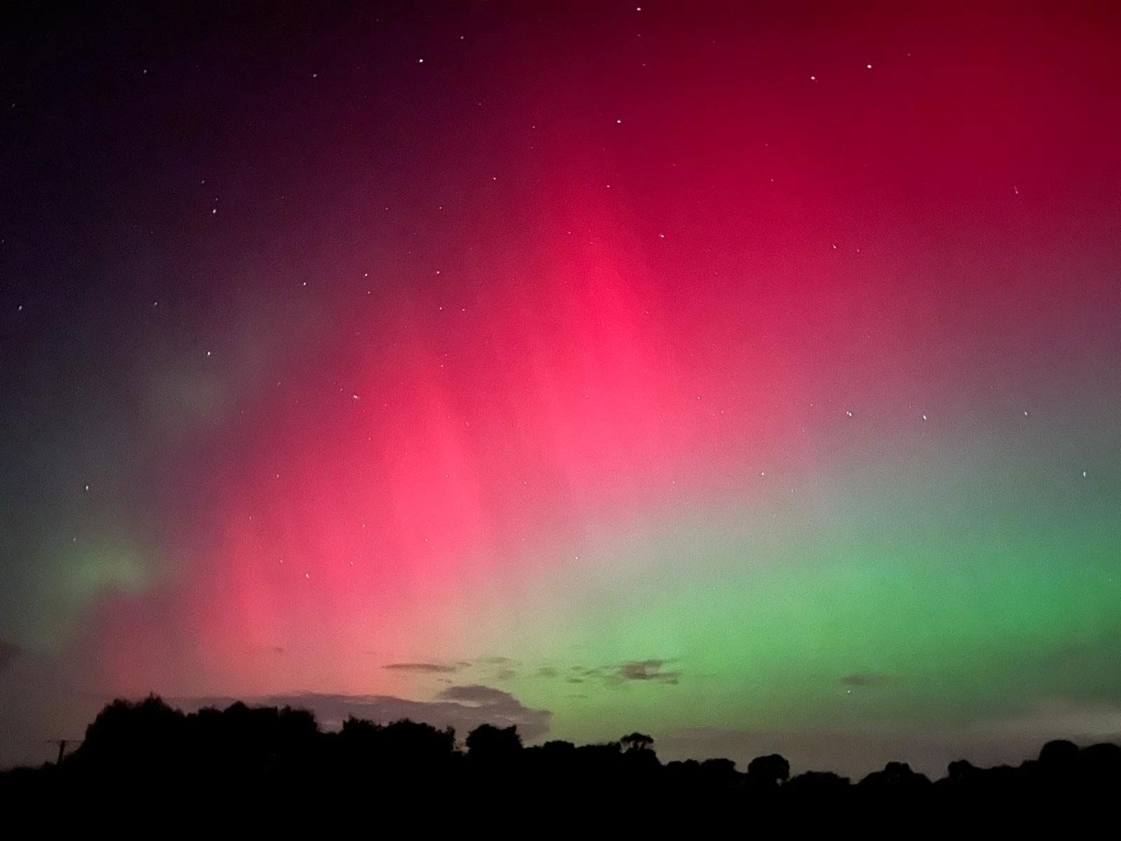 cuc quang tuyet dep tren khap the gioi5*350810