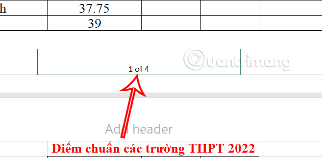 Kiểu đánh số trang 1/2 Excel