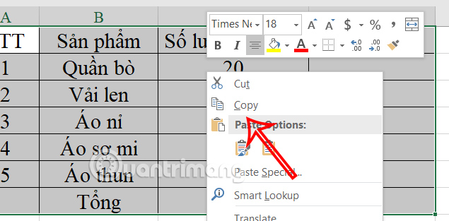 Copy bảng dữ liệu Excel 