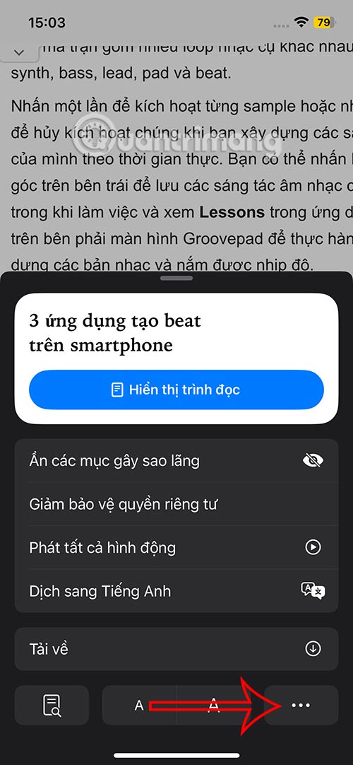 Tùy chọn trang web Safari iPhone