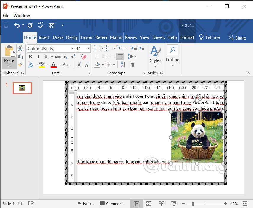 Nhập nội dung vào slide trong PowerPoint