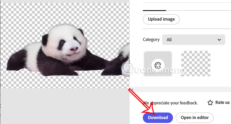 Ảnh xóa nền trên Adobe Express