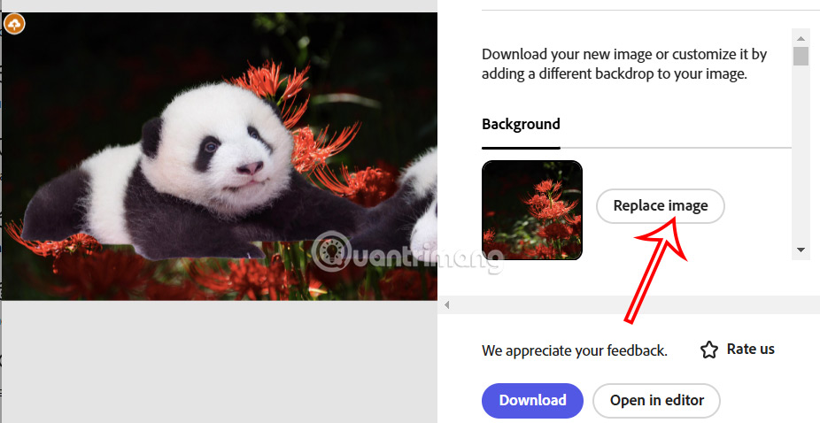Thay ảnh nền mới trên Adobe Express