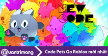 Code Pets Go Roblox mới nhất