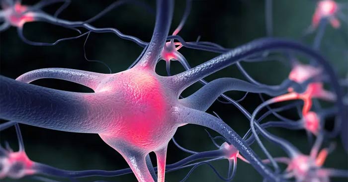 Những điều cần biết khi bị thiếu vitamin B12