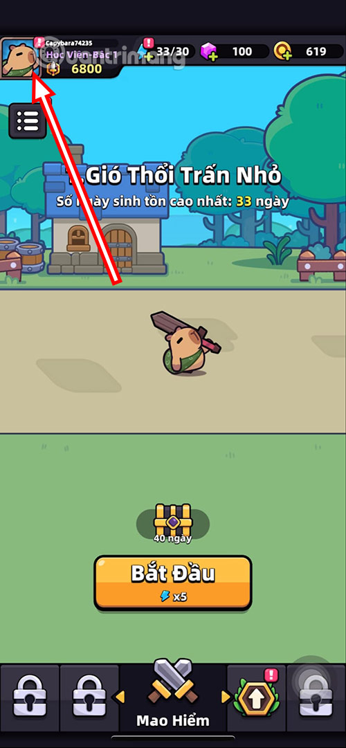 code Capybara Go