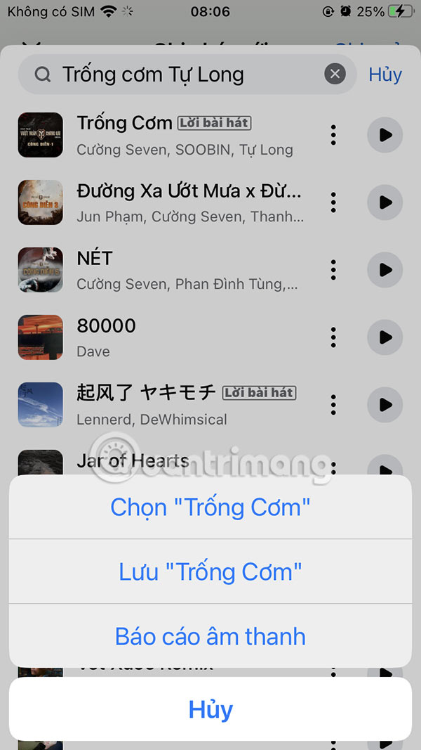 Tùy chọn bài hát