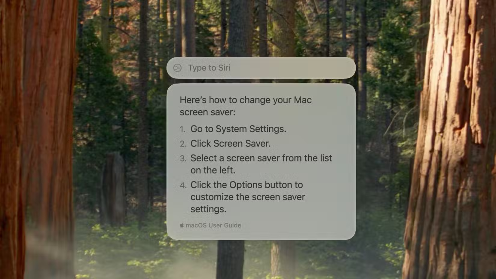 Siri mới trên macOS Sequoia 15.1