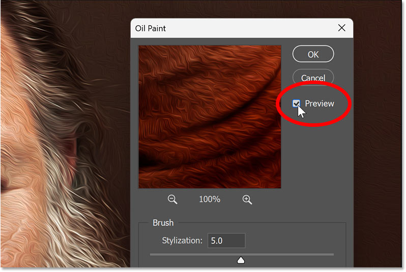 Tùy chọn Preview trong hộp thoại bộ lọc Oil Paint